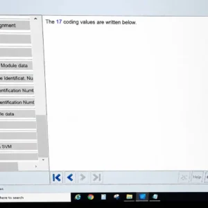 ODIS writing control-unit coding values
